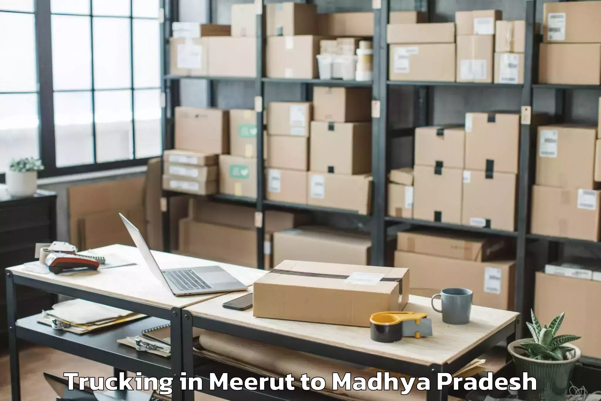 Leading Meerut to Porsa Trucking Provider